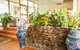 Kempsey Rose Motor Inn - thumb 43