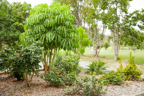 Kempsey Rose Motor Inn - Timeshare Accommodation 42