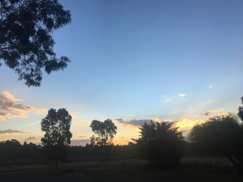 Junee Motor Inn - Timeshare Accommodation 26