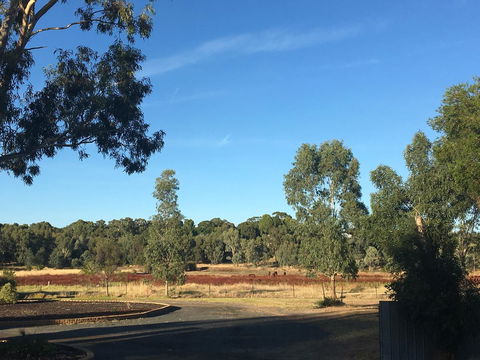 Junee Motor Inn - Timeshare Accommodation 24