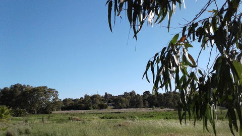 Junee Motor Inn - Timeshare Accommodation 8