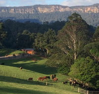 Amaroo Valley Springs - Timeshare Accommodation