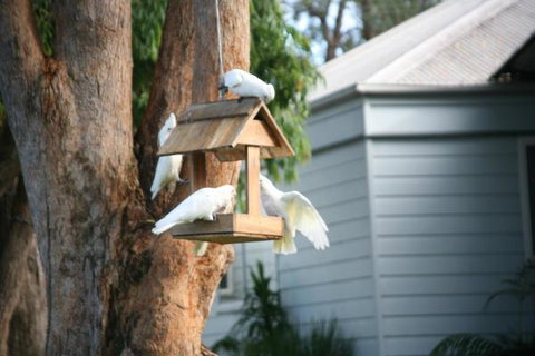 Huskisson Holiday Motel Cabins - Timeshare Accommodation 29