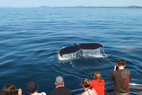 Pacific Marina Apartments - Timeshare Accommodation 34