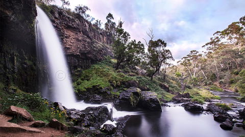 Pound Creek Gallery - Timeshare Accommodation 14