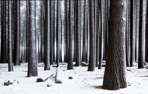 Pound Creek Gallery - Timeshare Accommodation 2