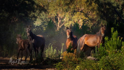 Pound Creek Gallery - Timeshare Accommodation 18