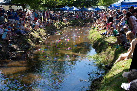 Pound Creek Gallery - Timeshare Accommodation 15