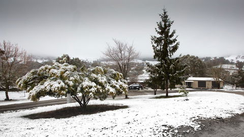 Pound Creek Gallery - Timeshare Accommodation 8