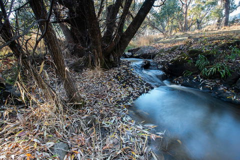 Pound Creek Gallery - Timeshare Accommodation 26