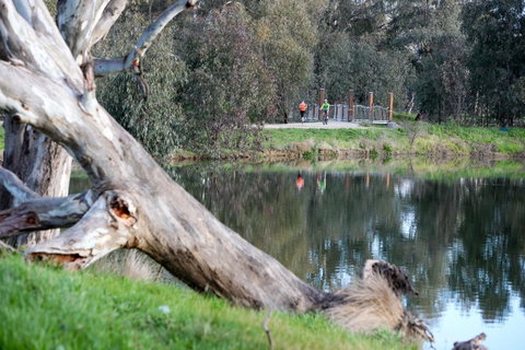 Mercure Albury - Timeshare Accommodation 15