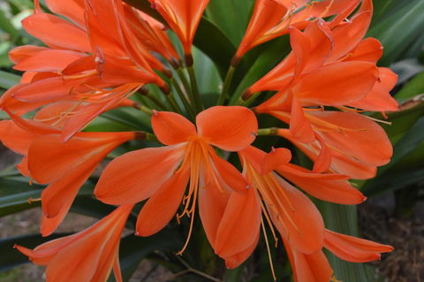 JE Guesthouse, Central To All The Hunter Valley Has To Offer - Timeshare Accommodation 39