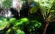 Woollahra Gem, Spectacular Views And Garden Paradise - thumb 34