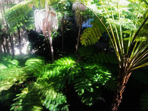 Woollahra Gem, Spectacular Views And Garden Paradise - Timeshare Accommodation 34