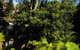 Woollahra Gem, Spectacular Views And Garden Paradise - thumb 31