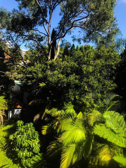 Woollahra Gem, Spectacular Views And Garden Paradise - Timeshare Accommodation 31