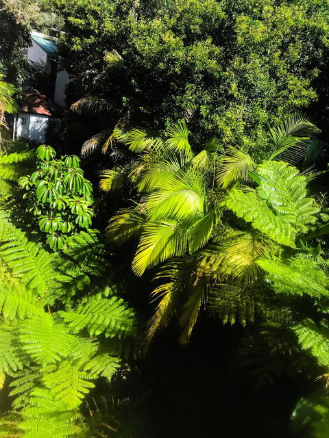 Woollahra Gem, Spectacular Views And Garden Paradise - Timeshare Accommodation 29