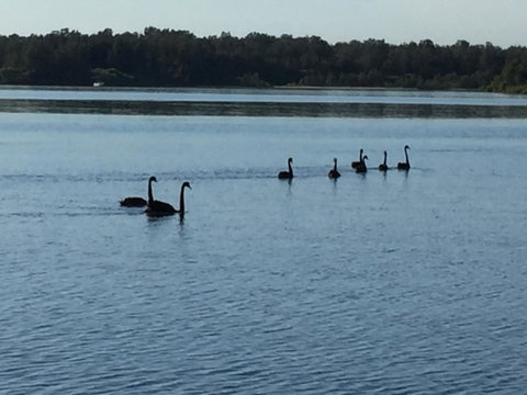 Swan Bay Hideaway - Timeshare Accommodation 7