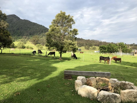 Arcadia - The Barn Cottage & Rosehill Cottage - Timeshare Accommodation 29