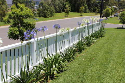 Red Waratah - Timeshare Accommodation 2