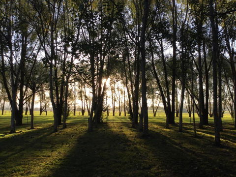 Moruya Motel - Timeshare Accommodation 39