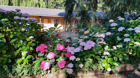 Moruya Motel - Timeshare Accommodation 28