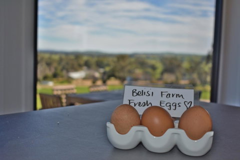 Belisi Farmstay Cottage - Timeshare Accommodation 20