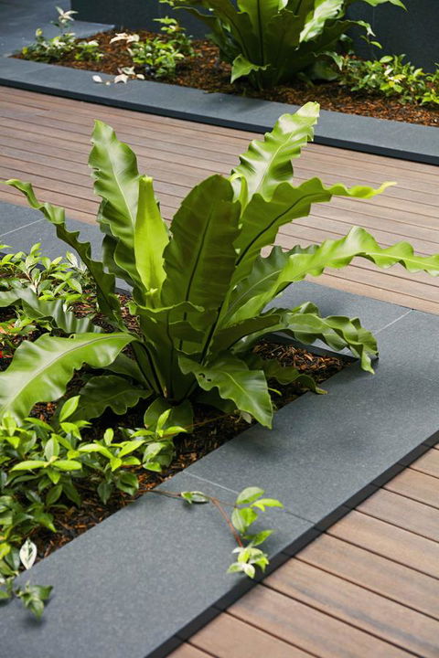 Veriu Camperdown - Timeshare Accommodation 22