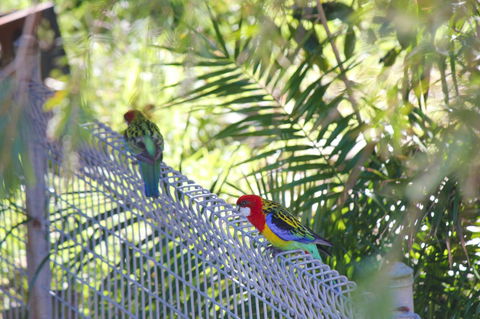 Marty's @ Little Beach - Timeshare Accommodation 27