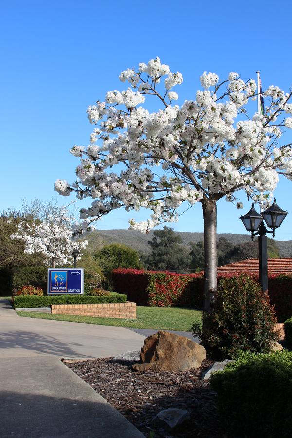 Glenroy NSW Timeshare Accommodation