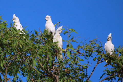 Aurora Kakadu Lodge - Timeshare Accommodation 9