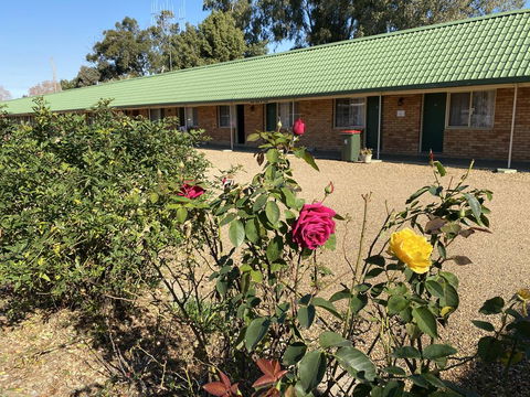 Bridge Motel Wellington - Timeshare Accommodation 1