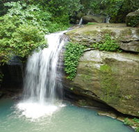 Buderim Forest Hideaway - Timeshare Accommodation