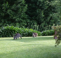 Bundanoon 2578 - Timeshare Accommodation