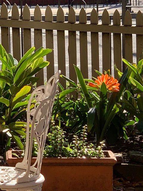 Burwood Bed And Breakfast - Timeshare Accommodation 3