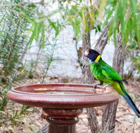 Caves Road Chalets - Timeshare Accommodation