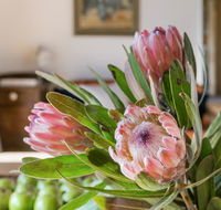 Cooee Cottage - Timeshare Accommodation