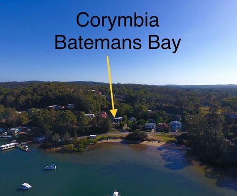 Corymbia Batemans Bay - Timeshare Accommodation 1