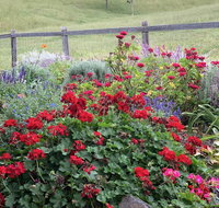 Country Mile Escape - Timeshare Accommodation