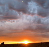 creative 3D sculpture share - Timeshare Accommodation