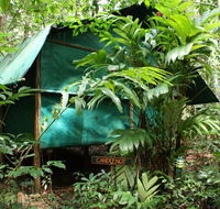 Daintree Crocodylus - Timeshare Accommodation