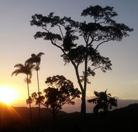 Daintree Holiday Homes - Yurara - Timeshare Accommodation