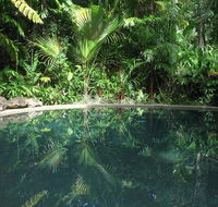 Daintree Rainforest Retreat Motel - Timeshare Accommodation