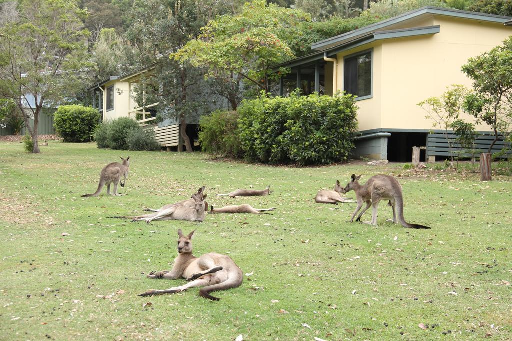 Depot Beach NSW Timeshare Accommodation