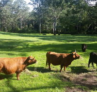 Dingley Dell - Timeshare Accommodation