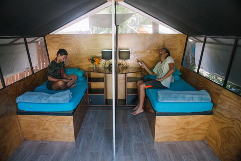 Dougies Backpackers Resort - Timeshare Accommodation 3