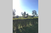 Book Benalla Accommodation Vacations Timeshare Accommodation Timeshare Accommodation