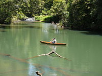 Figtree Getaway
