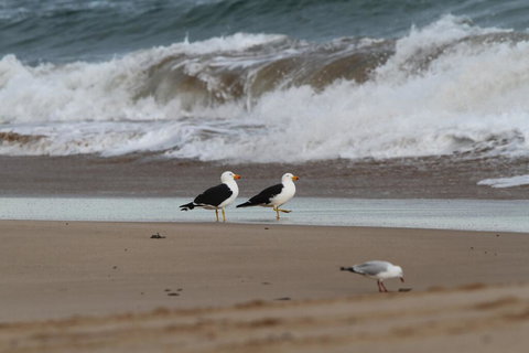 GALWAY COTTAGE - Timeshare Accommodation 1