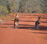 Gundabooka National Park Cottages - Timeshare Accommodation